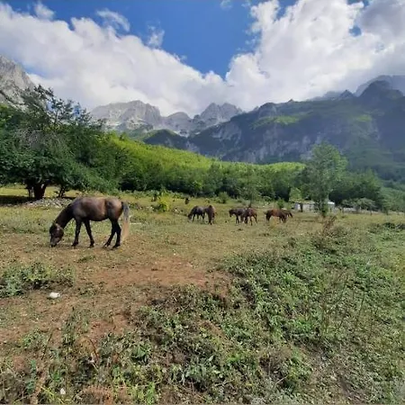 Margjeka Ξενοδοχείο
