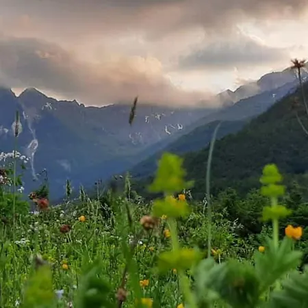 Margjeka מלון 3*