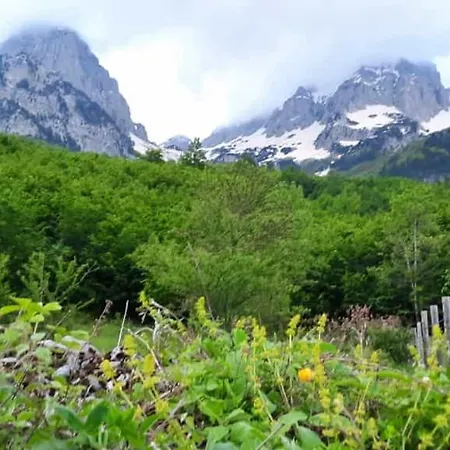 Margjeka מלון 3*