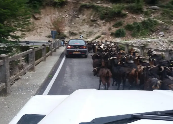 Margjeka فندق 3*